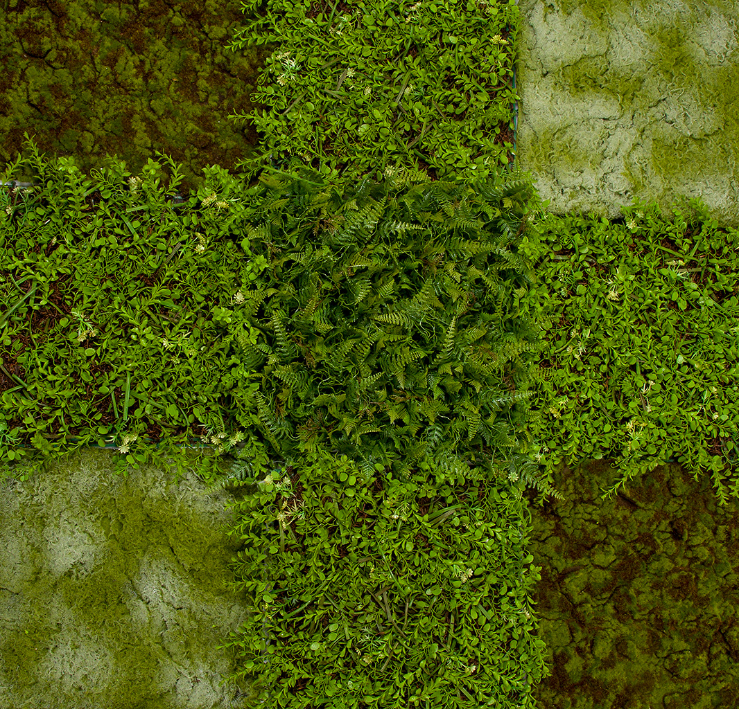 grass-wall-angle-up-01.jpg