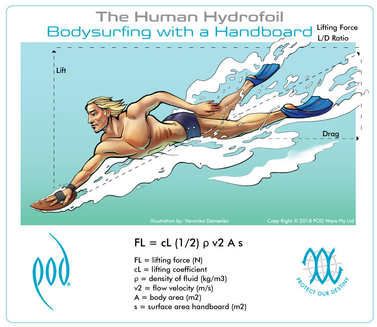 bodysurfing-with-a-handboard-choosing-the-right-size-bodysurfing-handboard.jpg