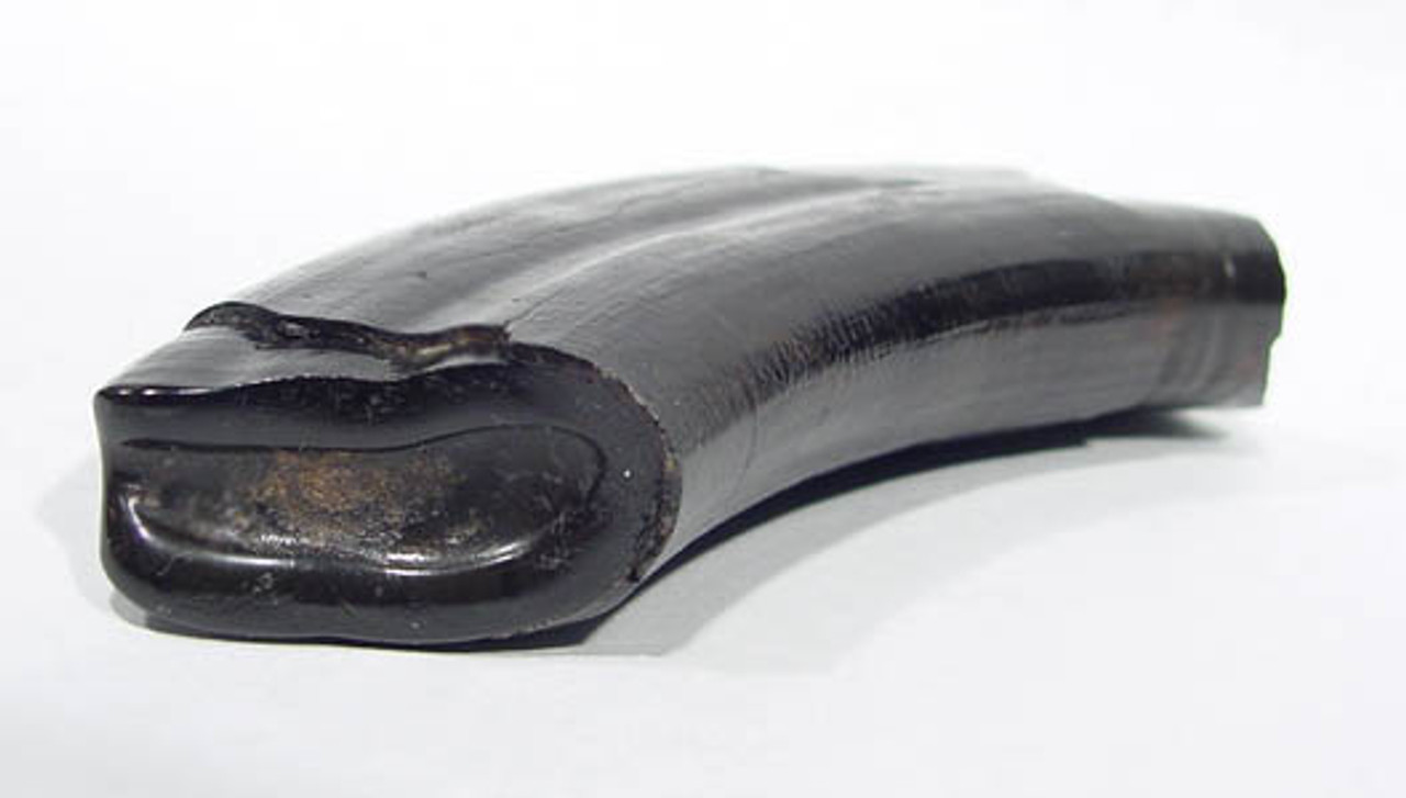 dinosaur molar tooth