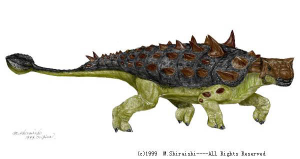 euoplocephalus.jpg