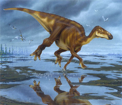 hadrosaur.jpg
