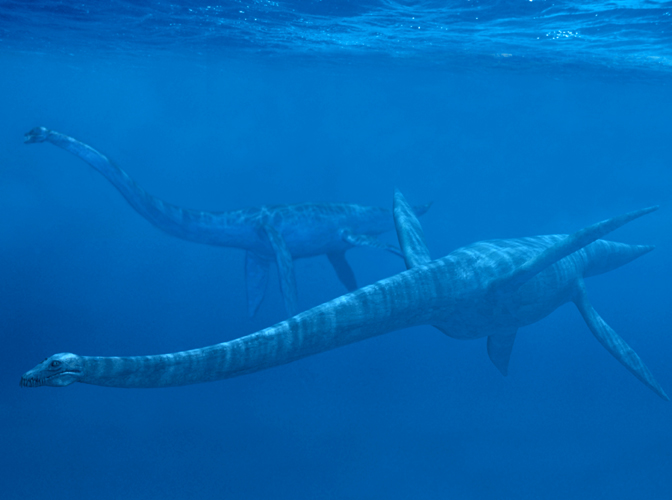 Sea Monster chills and thrills at the National Maritime Museum