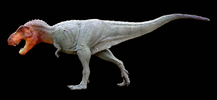 tyrannosaurusrex1.jpg