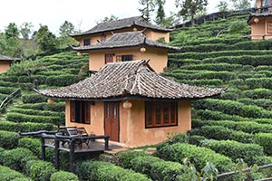 Tea-House-Yunnan