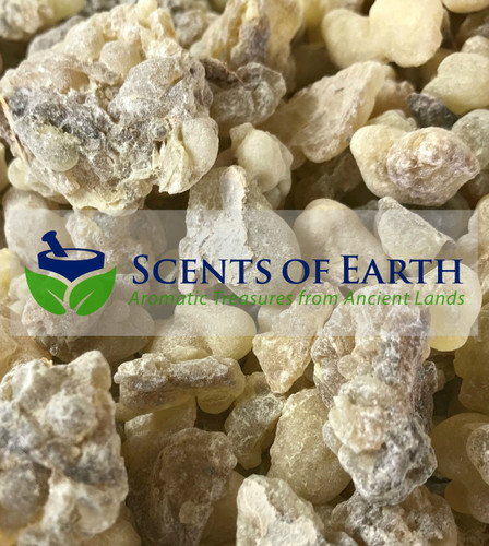 Frankincense Aden Jumbo Superior (Boswellia carteri) - Yemen