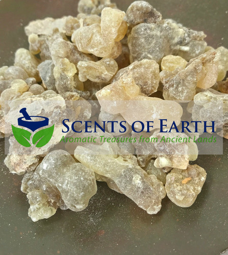 Frankincense Hojary Brown Superior (Boswellia sacra) - Oman