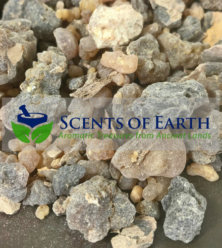 Frankincense (Boswellia carteri) - Ethiopia