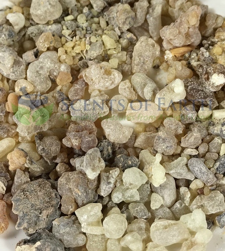 Frankincense Resin Sampler