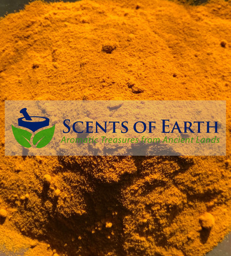 Turmeric Root Powder ( Curcuma domestica) - India