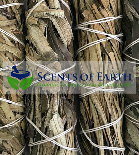 Yerba Santa Smudge Wand 9"
