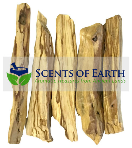 Palo Santo Wood Sticks -Jumbo (Bursera graveolens) - Peru