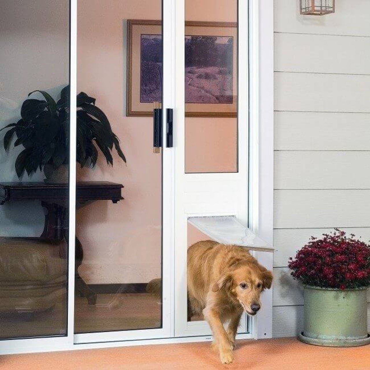 Thermo Panel 3e Doggy Door Endura Flap Pet Door Store   Endura Flap Thermo Panel 3e Golden Retriever  99205.1516319244 