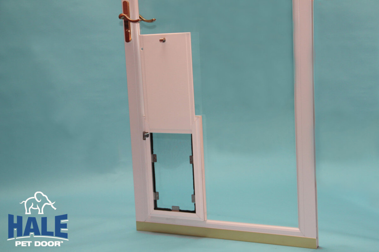 In Glass Hale Pet Door Pet Door Store