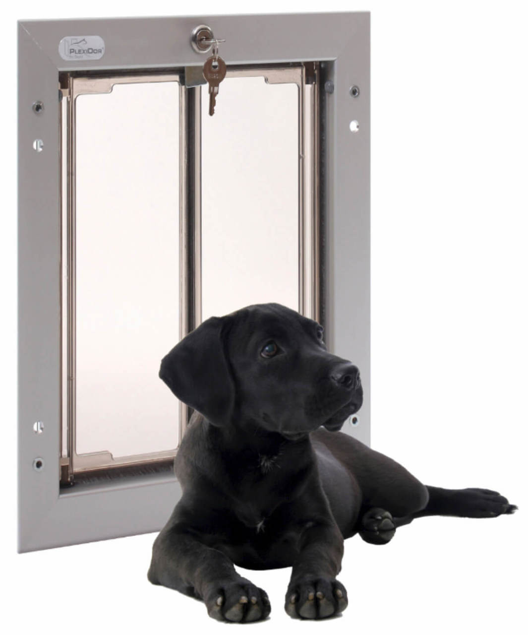 Dog Doors | Plexidor Pet Door - Saloon Door | Pet Door Store
