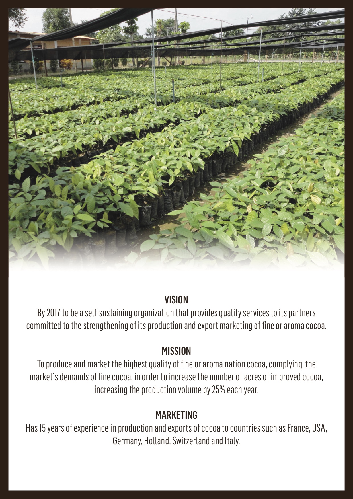 cocoa-bean-broker-brochure-page-3.jpg