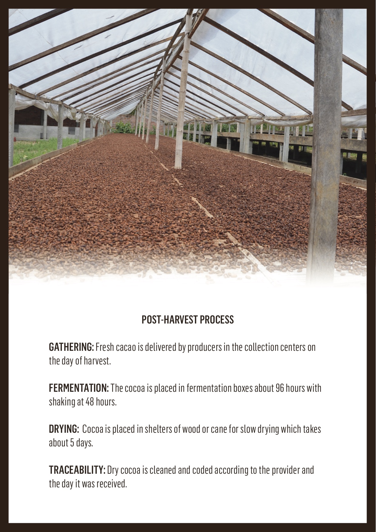 cocoa-bean-broker-brochure-page-4.jpg