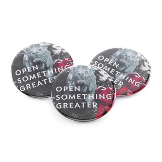 Art Institute Lapel Magnets