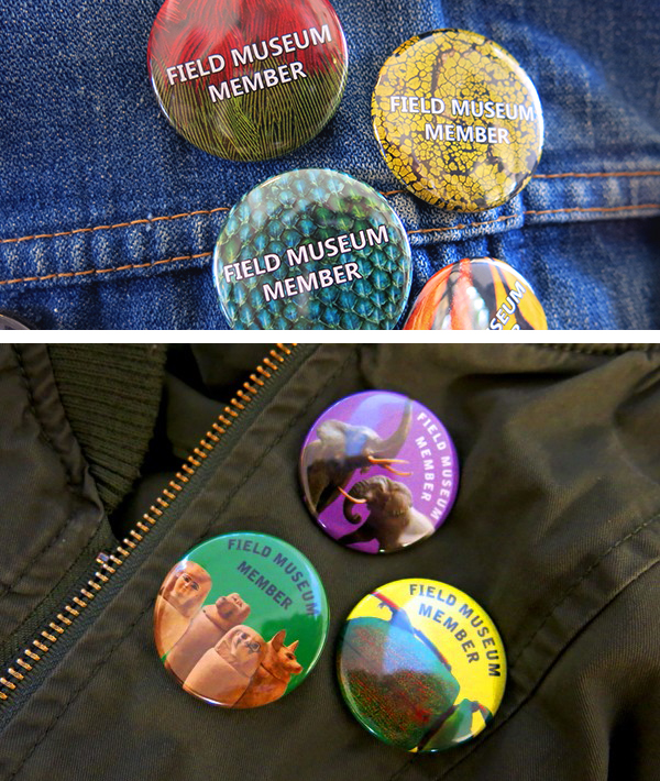 field-museum-membership-buttons.jpg field-museum-membership-buttons.jpg