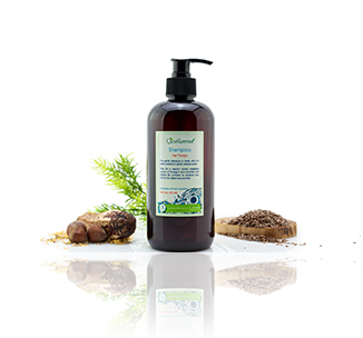 shampoo.png shampoo.png