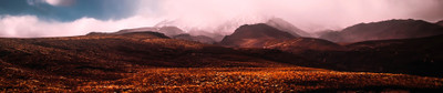Why Wear Wool Socks for Hiking