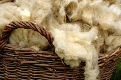 The Benefits of Wool Blends