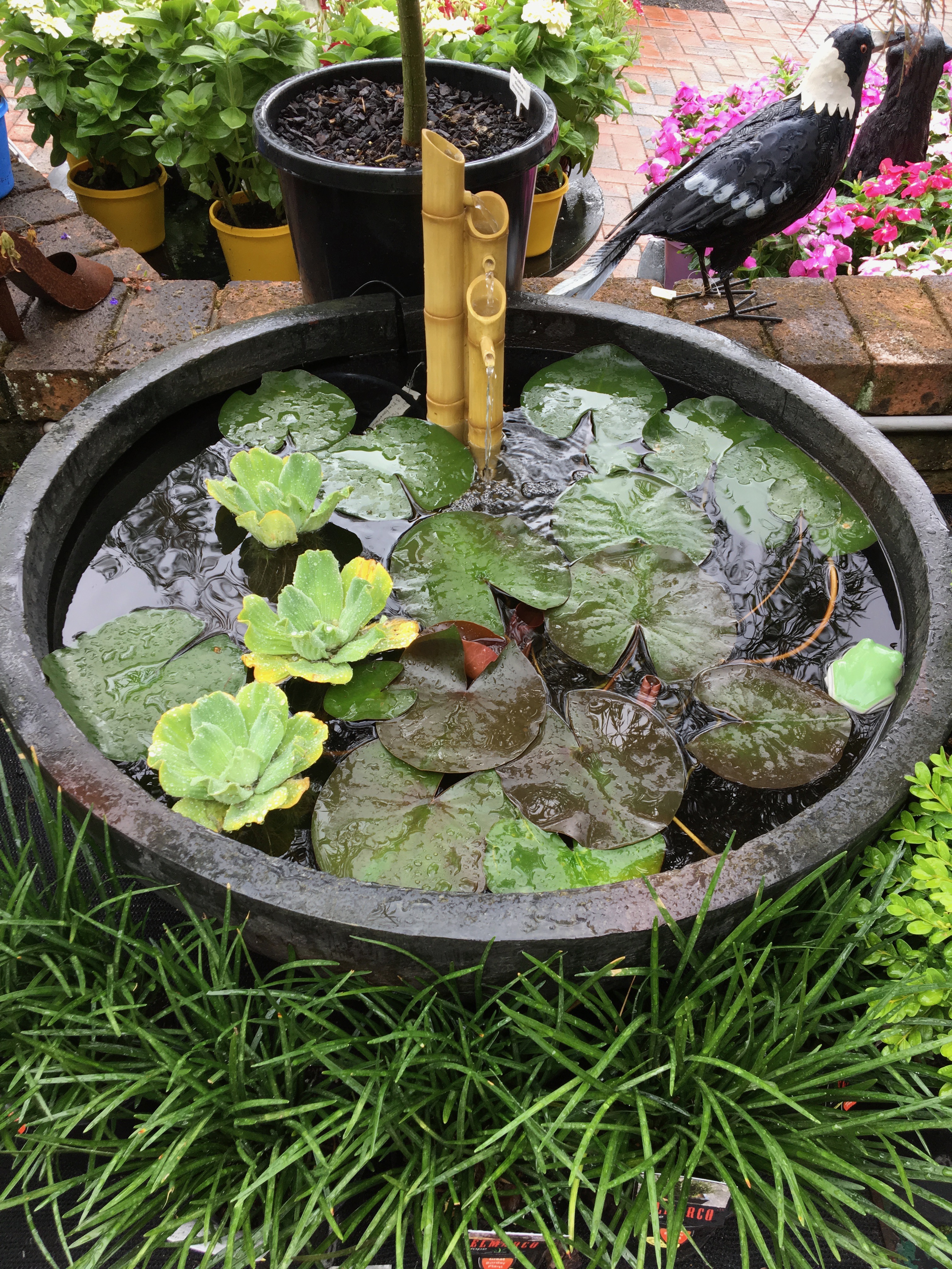 Patio Pond With Bamboo Fountain