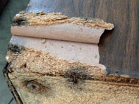Water and Wood Particle Board Don’t Mix