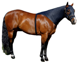 If you are looking for a great product to train the mane without using a halter or sheet and you do not want to cover your horse's shoulders, try the Sleazy Brief. Along with our "Seamless Face" design this product allows the mane to be trained and stays on without the use of a halter to secure it. The Brief is available in 6 sizes and comes standard with a full separating zipper. It is made of nylon spandex and is available in Black only.