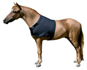 Sleazy Sleepwear Mini Shoulder Guard