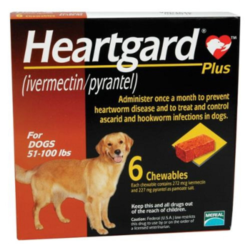 Heartgard Plus Chewables for Dogs 51-100 lbs - Brown 6 Pack