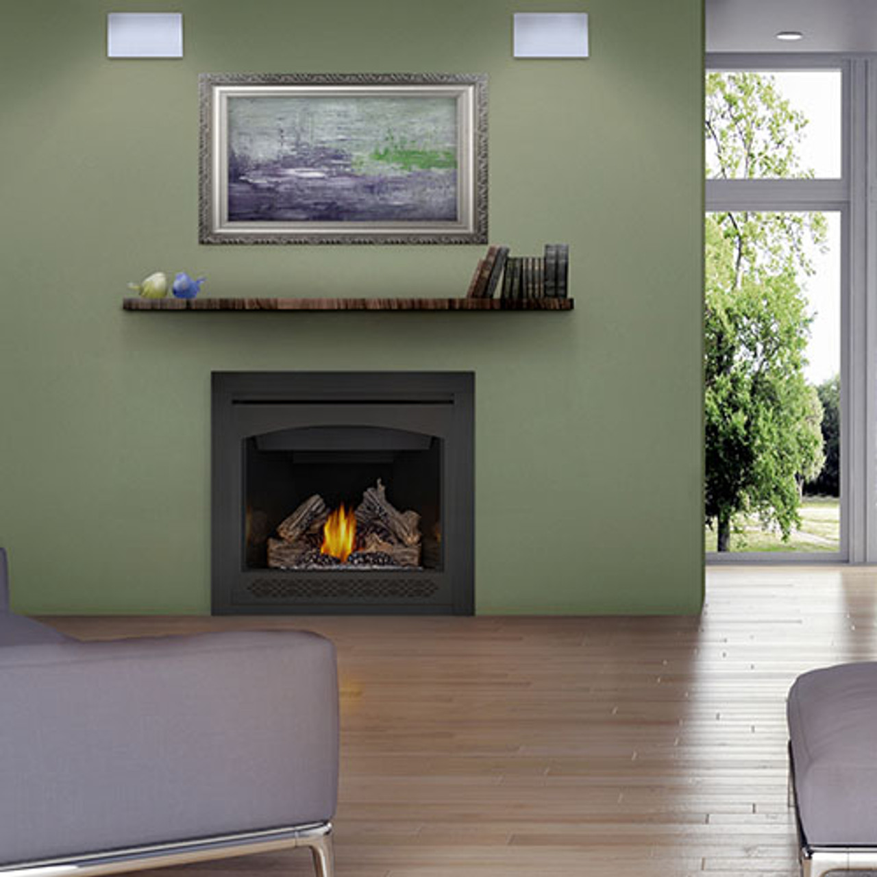NAPOLEON ASCENT B36NTR AND B36NTRE DIRECT VENT GAS FIREPLACES