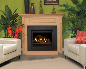 AMERICAN HEARTH MANTIS FIREPLACE INSERT AMERICAN HEARTH MANTIS GAS FIREPLACE INSERTS AT DISCOUNT PRICES FIREPLACESRUS.NET