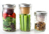 BNTO Canning Jar Lunchbox Adaptor