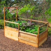 3' x 6' Raised Garden Bed with 1 Trellis
