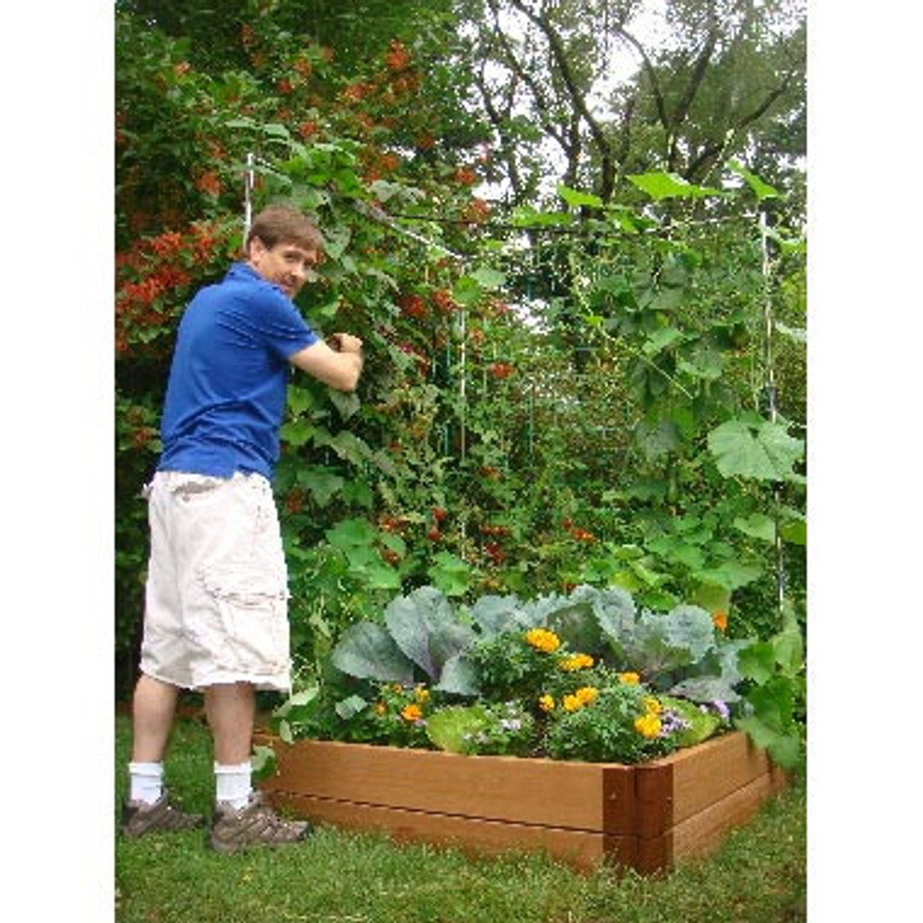 Raised Garden Bed Vegetable Trellis 4' x 6' | Eartheasy.com