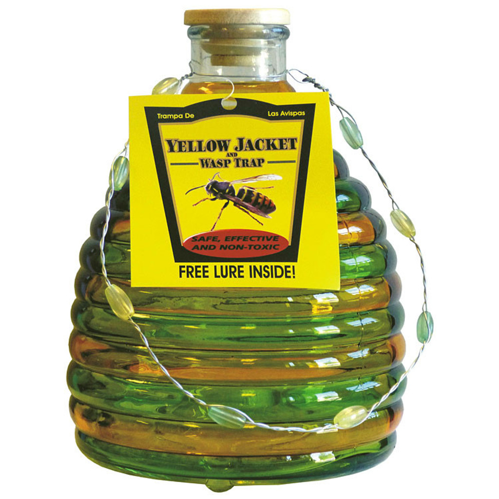 NonToxic Glass Wasp Trap