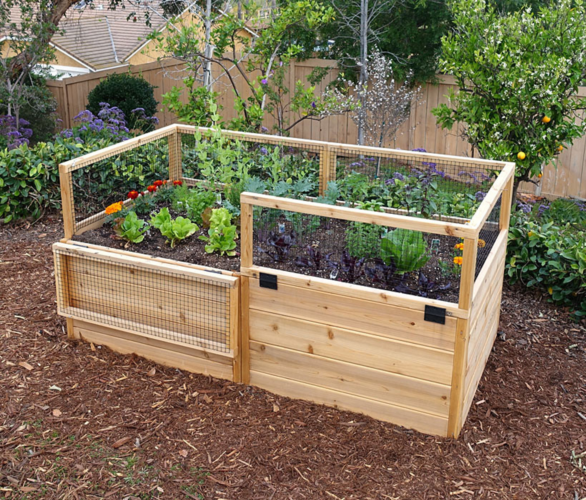 3' x 6' Raised Garden Bed With Hinged Fencing | Eartheasy.com