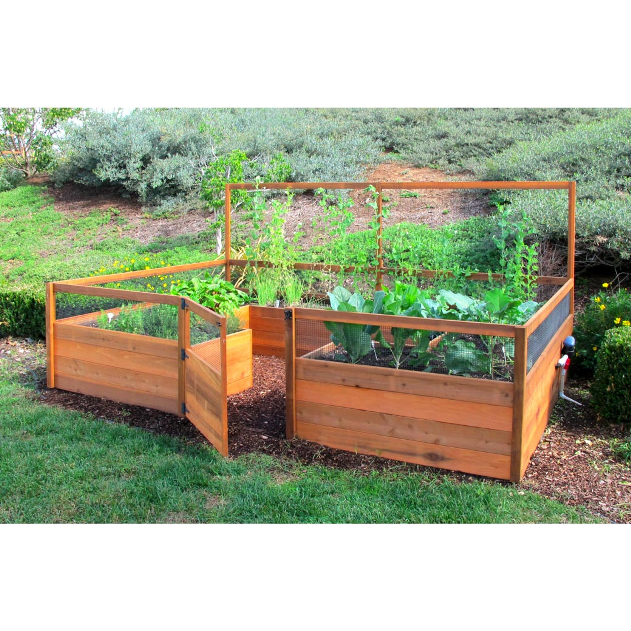 Cedar Complete Raised Garden Bed Kit - 8' X 12' X 20" | Eartheasy.com