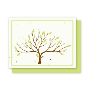 Grow-A-Note Tree Cards Box Set - 4 Cards
