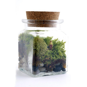 Le Petit Singularite DIY Terrarium