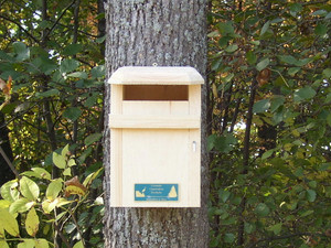 Sparrow-resistant Bluebird House