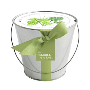 Herb Mini-Garden-in-a-Pail