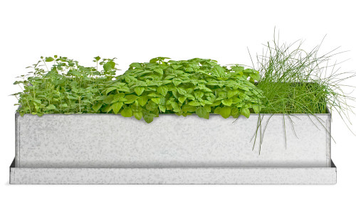Culinary Herbs Window Grow Box