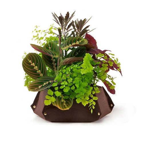 Woolly Pocket Table Planter
