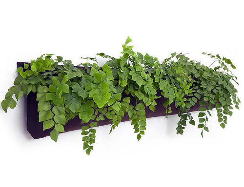 Vertical Gardening Woolly Pockets - Wally Five