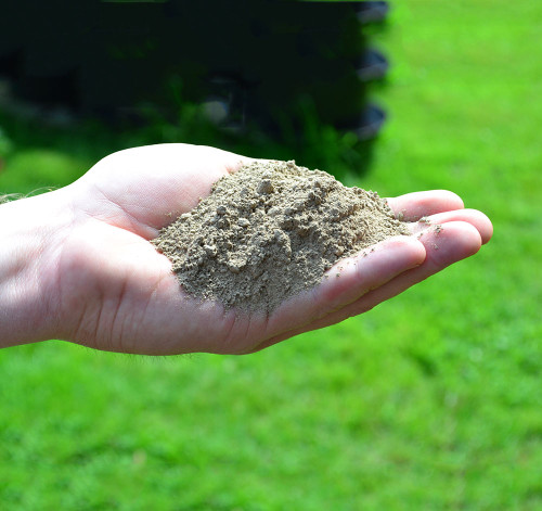 Glacial Rock Dust