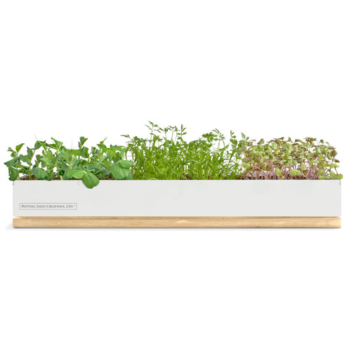 Veggie Micro-Greens