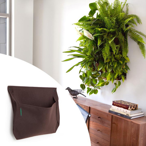 Vertical Gardening Woolly Pocket - Wally One