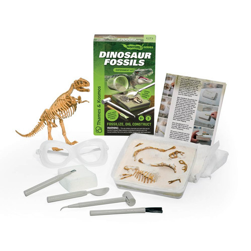 Dinosaur Fossils Kit