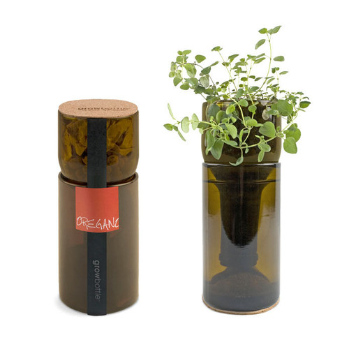 Recycled Grow Bottle - Oregano